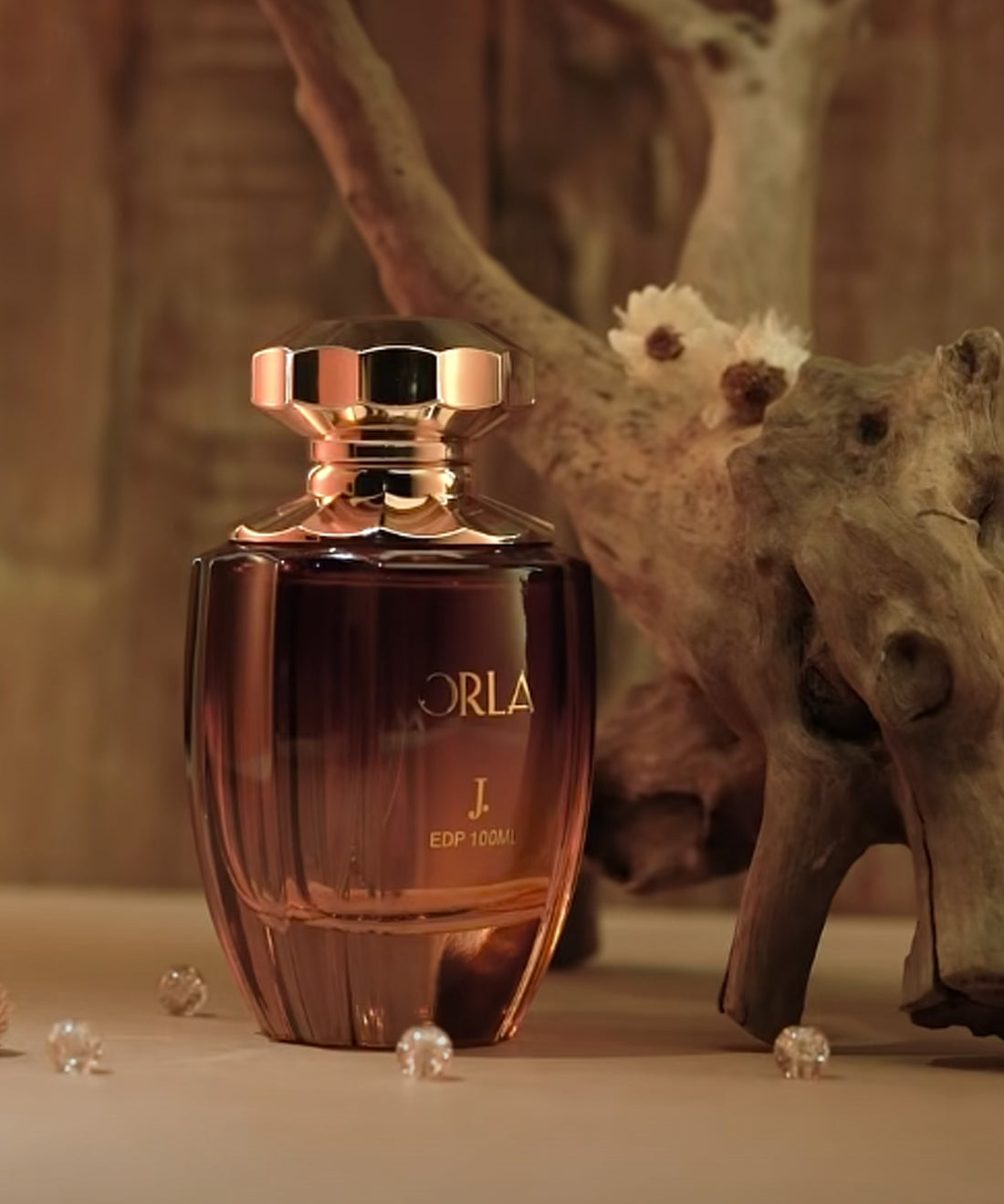 J. Orla Eau de Parfum for Women – 100ml | Creamy Coconut, Vanilla & Musk Fragrance